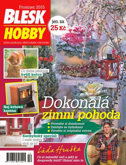 Blesk Hobby - 12/2015