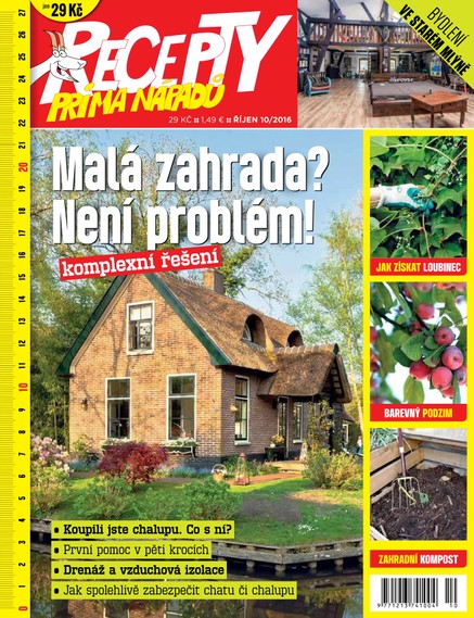 Recepty prima nápadů 10/2016