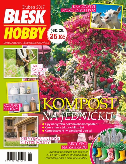 Blesk Hobby - 4/2017