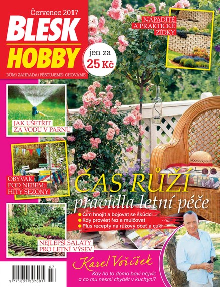 Blesk Hobby - 7/2017