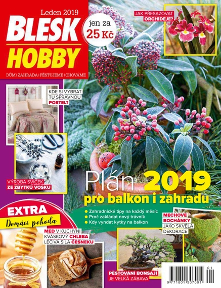 Blesk Hobby - 01/2019