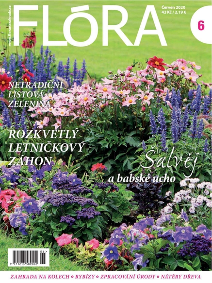 Flora 6-2020
