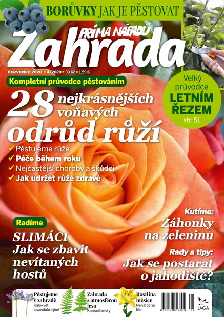 Zahrada prima nápadů 4/2020