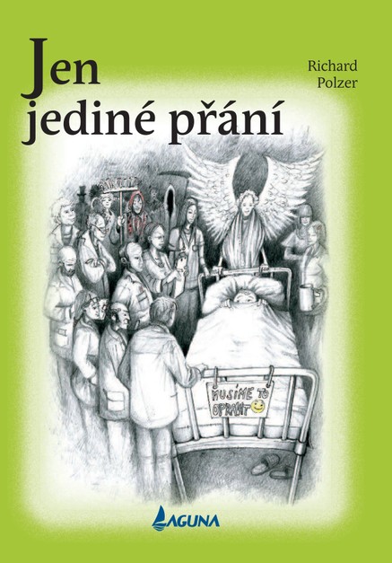 Jen jediné přání - Autor Richard Polzer