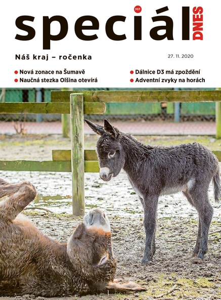 Magazín DNES Speciál Jižní Čechy - 27.11.2020