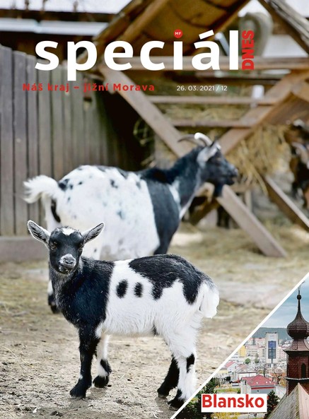 Magazín DNES Speciál Brno a Jižní Morava - 26.3.2021