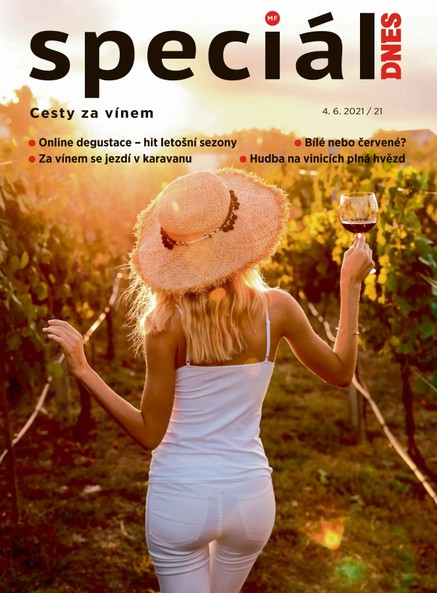 Magazín DNES Speciál - 4.6.2021