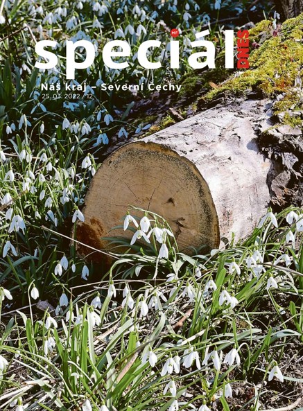 Magazín DNES SPECIÁL Severní Čechy - 25.3.2022