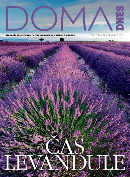 DOMA DNES - 27.7.2022