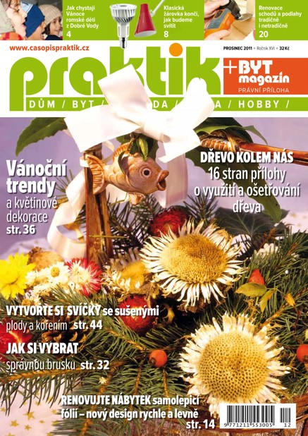 PRAKTIK & příloha Byt magazín 12/2011