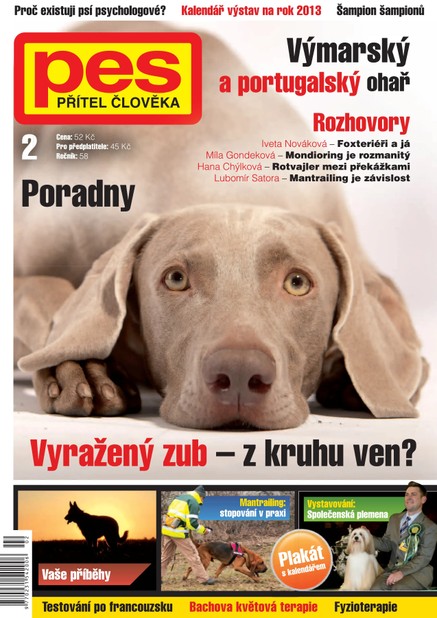 Pes přítel člověka 2/2013