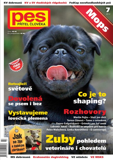 Pes přítel člověka 7/2012
