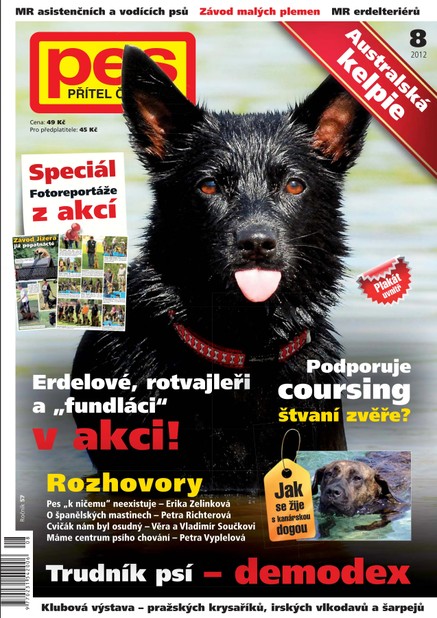 Pes přítel člověka 8/2012