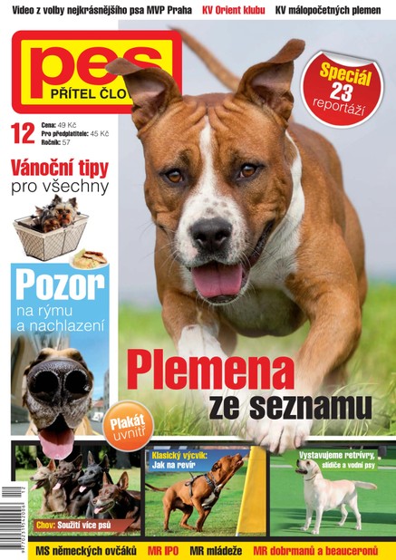 Pes přítel člověka 12/2012