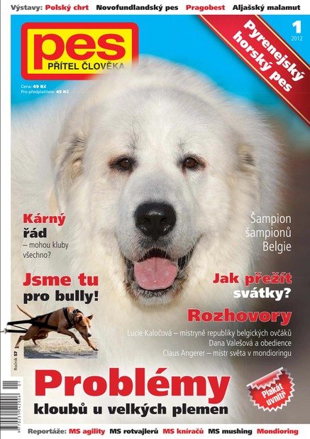 Pes přítel člověka 1/2012