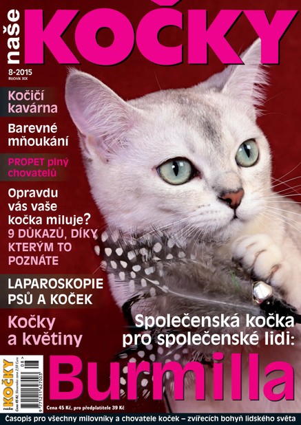 Naše kočky, 08-2015