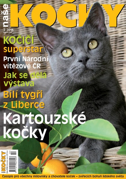 Naše kočky, 02-2013
