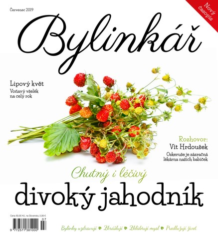 Bylinkář 7/2019