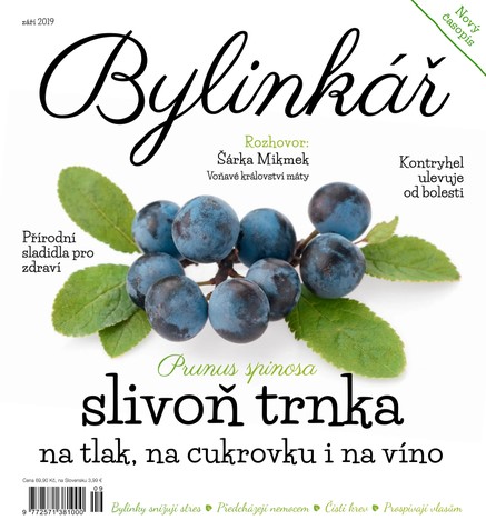 Bylinkář 9/2019