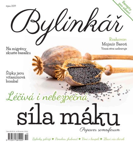 Bylinkář 10/2019