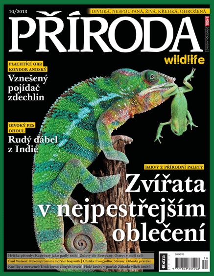 Příroda  10/2013