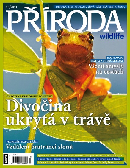 Příroda  10/2011