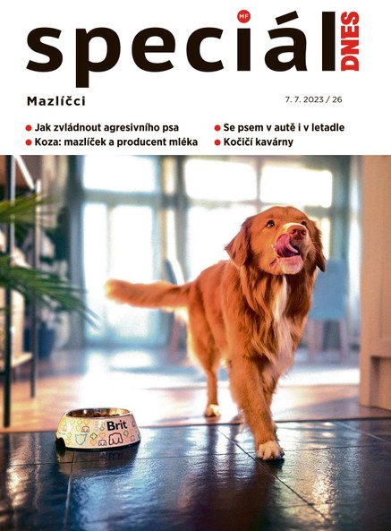 Magazín DNES Speciál Střední Čechy - 7.7.2023