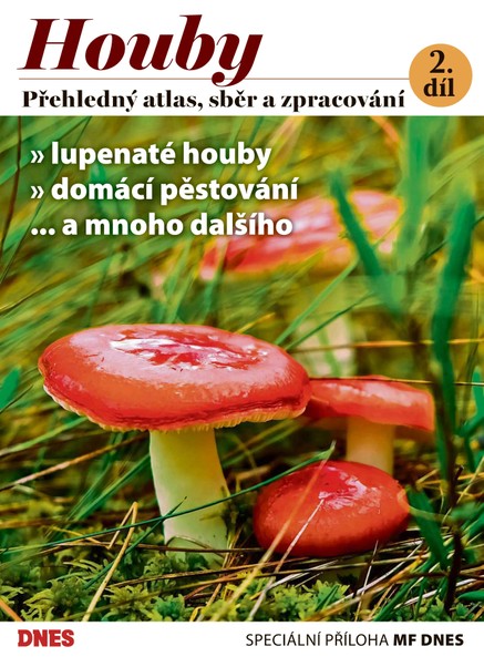 Magazín DNES Speciál Magazín DNES Speciál Jižní Čechy - 12.9.2023