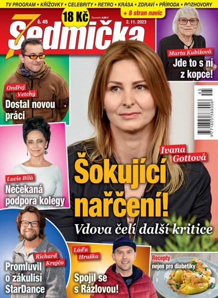 Sedmička 45/2023