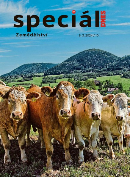 Magazín DNES Speciál Plzeňský - 8.3.2024