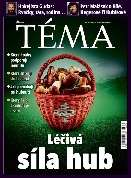 TÉMA DNES - 30.08.2024