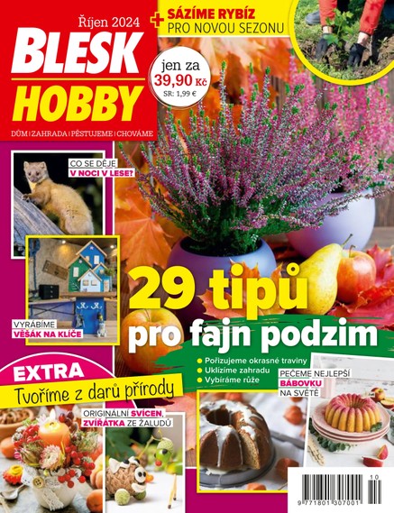 BLESK HOBBY - 10/2024