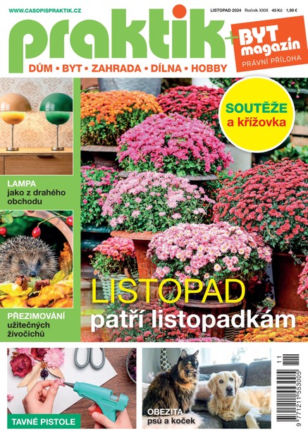 PRAKTIK & příloha Byt magazín 11/2024