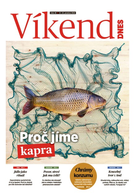 Víkend DNES Jižní Čechy - 21.12.2024