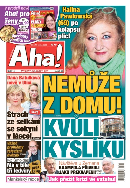 AHA! - 17.01.2025