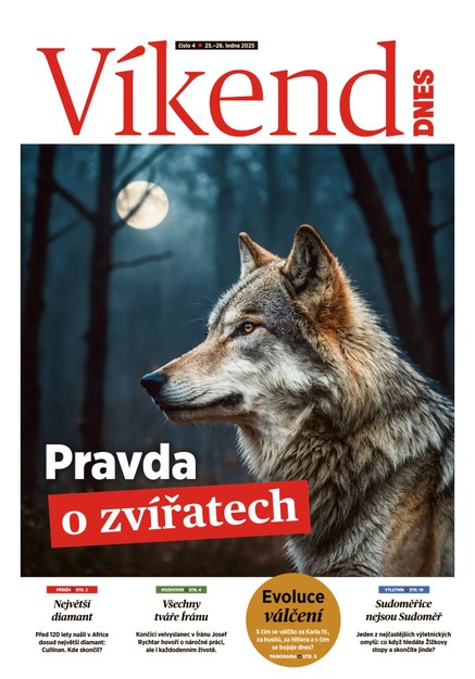 Víkend DNES Jižní Čechy - 25.01.2025