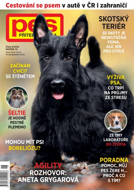 Pes přítel člověka 6/2025