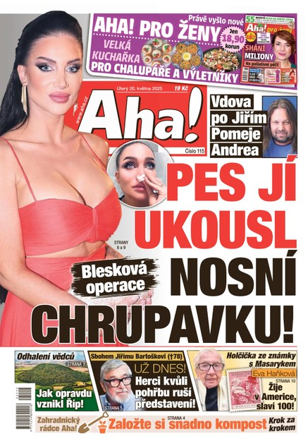 AHA! - 20.05.2025