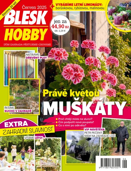 BLESK HOBBY - 6/2025