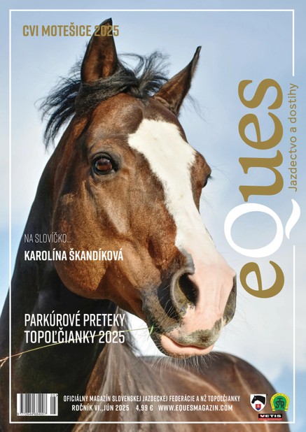 Eques jún