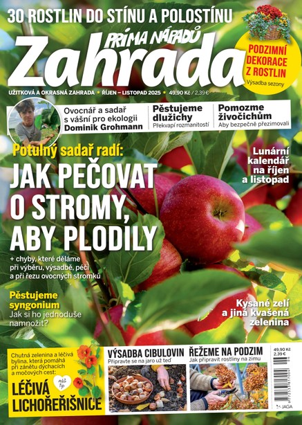 Zahrada prima nápadů 6/2025