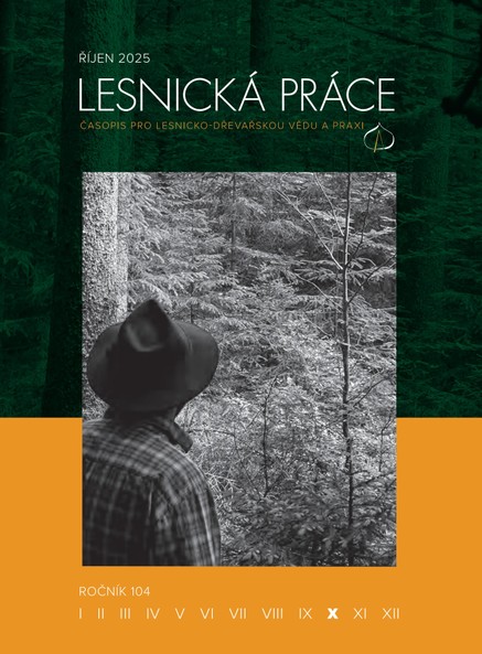 lesnicka prace 2025 10