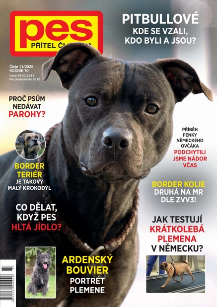 Pes přítel člověka 11/2025