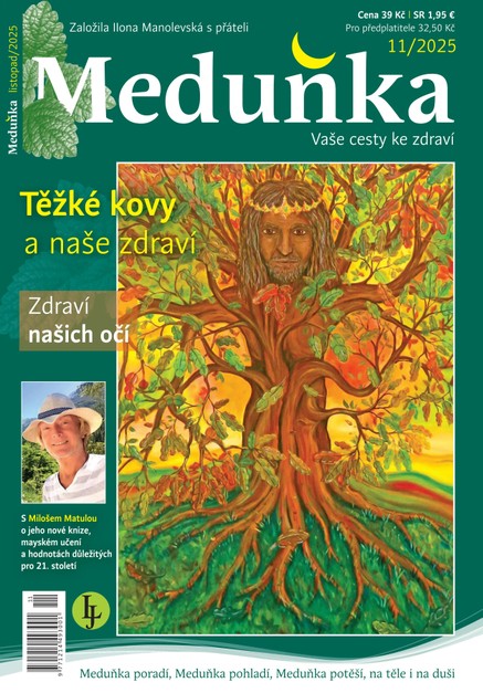 Meduňka 11/2025