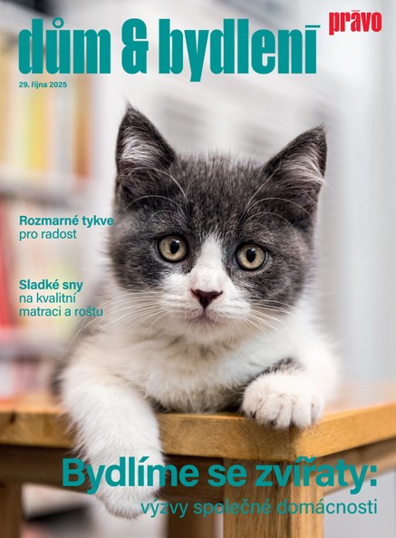 Dům & bydlení - 29.10.2025