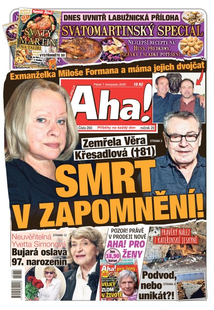 AHA! - 07.11.2025