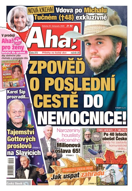AHA! - 22.11.2025