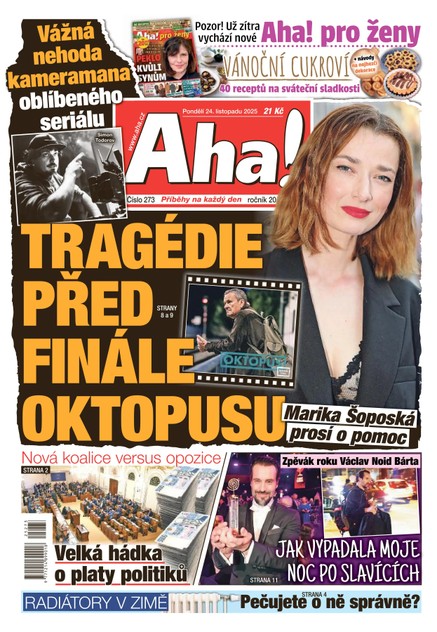AHA! - 24.11.2025