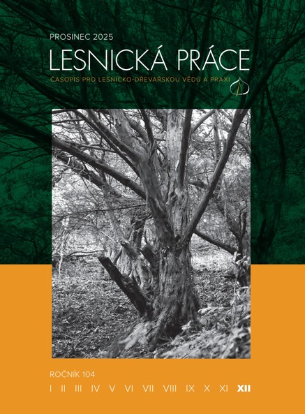 lesnická prace 2025 12