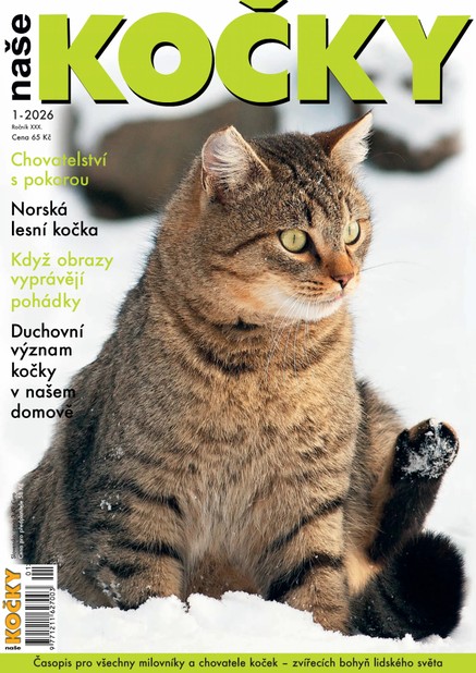 Naše kočky, 01-2026